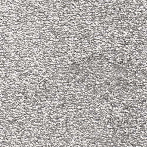 carpet-image